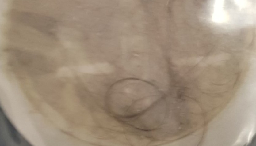 3kv5dl1m1tdt.jpeg