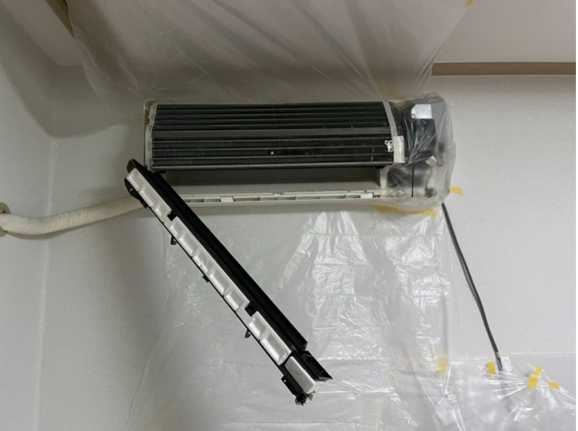 98vjr257aheiudpn12e.JPG
